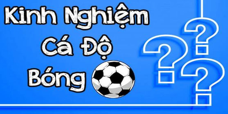 Chia Sẻ Kinh Nghiệm Cược Bóng Đá Từ Các Chuyên Gia